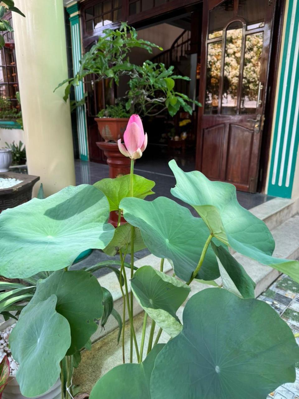 Noel Homestay Tuy Hoa Exterior photo